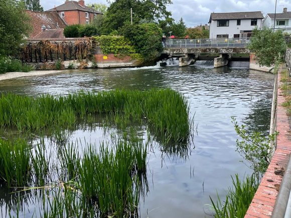 Lots of water in this area.