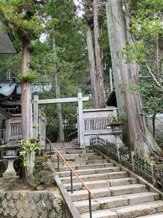 Gentle stairway up to main shinto grounds