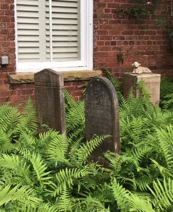 another grave of a child...love the ferns