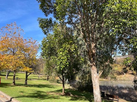 Now it’s winter, the lunchtime walks are nicer..