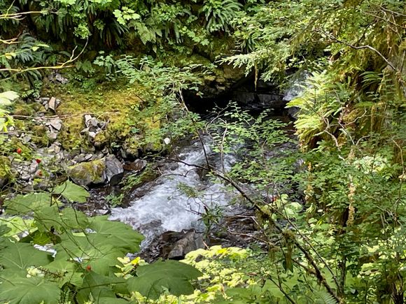 Water at the bottom of the falls