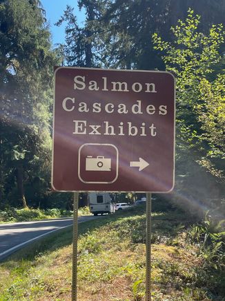 This is not to be missed if you are in Sol Duc, it's a short walk from the park to a viewing stand and you can watch the salmon, swim upstream.  At this point the salmon really are Olympic atheletes.