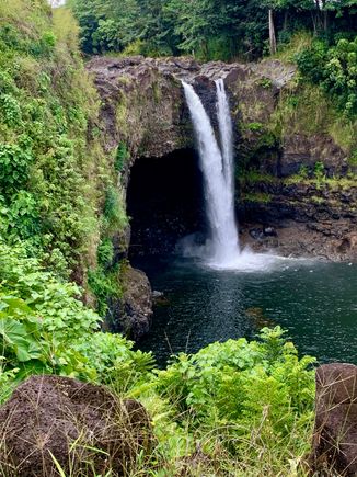 Rainbow Falls in Hilo but no rainbows for us.