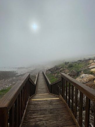 Not my usual beach photo! 