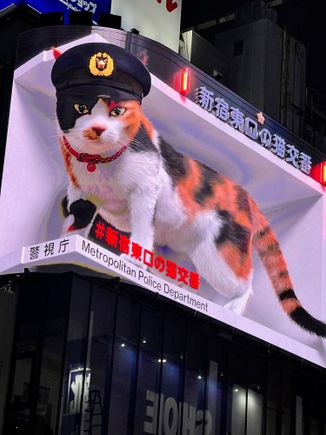Giant 3D cat billboard which currently provides a public service announcement from the Tokyo Police