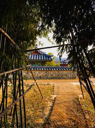 Five Royal Tombs, Gyeongju: The shrines through the bamboo forest.