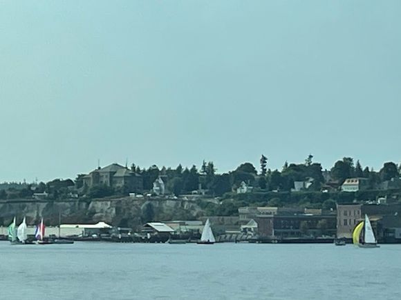 There is some kind of regatta going on in PT