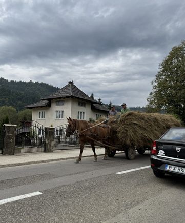Horse pulling a hay wagon - a popular mode of transportation in rural Romania