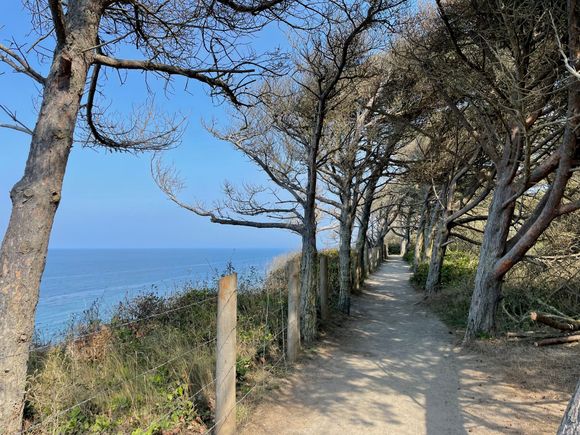 There are two ways to go from the parking lot, one is along the bluff which is where we met our two Seattle friends.