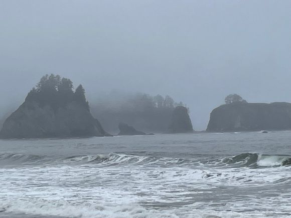 Here comes the fog, and the tide. What a cold ocean.
