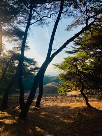 Mount Namsan (Western side), Gyeongju: The Samneung Royal Tombs near the base of the mountain.