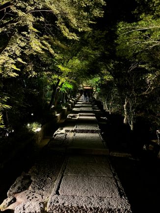 ...and entering Kodaji at night