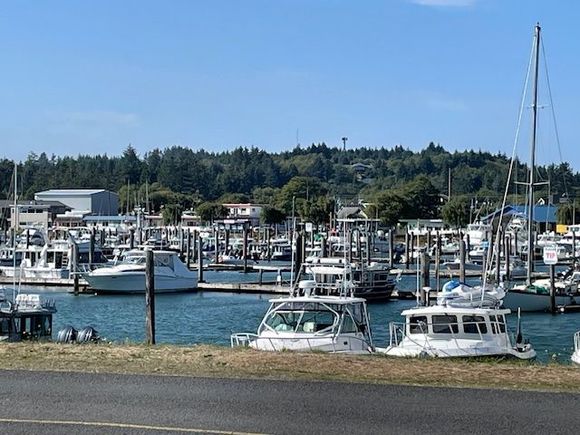 Ilwaco Marina