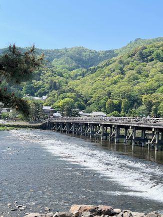 Crossing the River via the Ts Bridge
