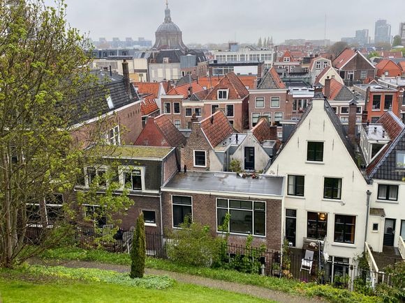 Leiden rooftop. 