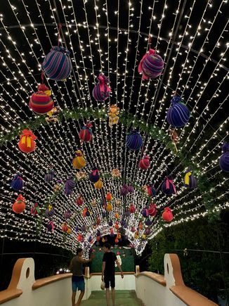 One of the pedestrian bridges over the canal.  It is really beautiful and again, I took this shot later in the evening, earlier it was packed.