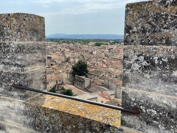 Rooftops of Tarascon 