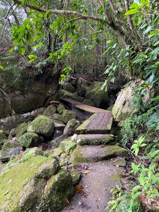 Walkway into the mystical land 