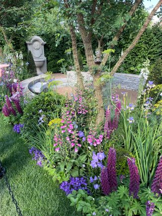 A garden at The Chelsea Flower Show. 
