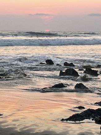 Rocky coast in front of our apartment