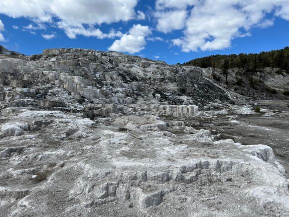 Mammoth, north part of Yellowstone.
