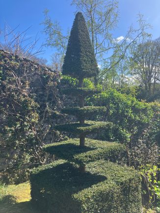 Plas Cadnant - different topiary near the reflecting pool