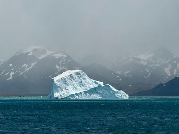 Lots and lots of icebergs!