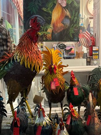 Roosters - synonymous with Key West 