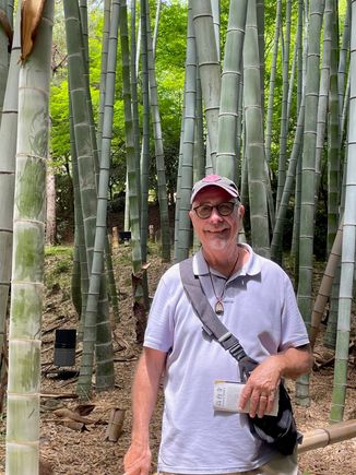 Me in the Bamboo Forest