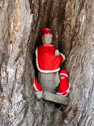 Kami, a spiritual figure placed in a knot in the tree