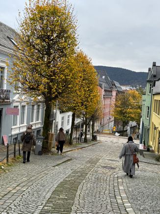 Colorful Bergen streets 