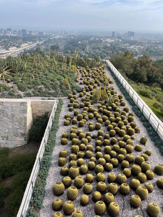 Cactus Garden