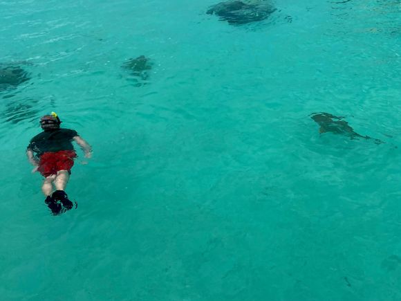Me and a friendly sting ray