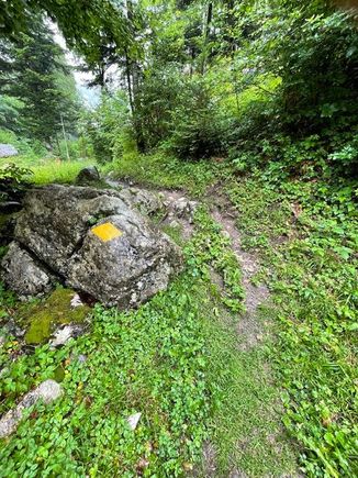 Yellow paint marker on rock to show path 