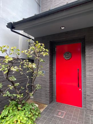The Red Door
