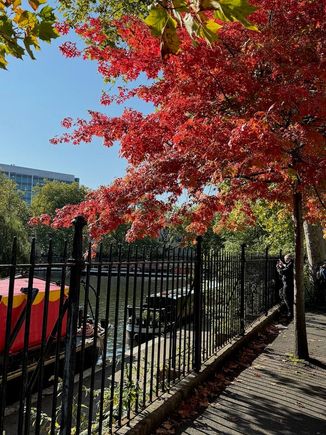 A touch of fall in Little Venice