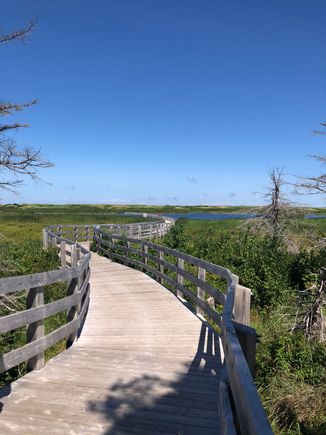Greenwich Dunes boardwalk
