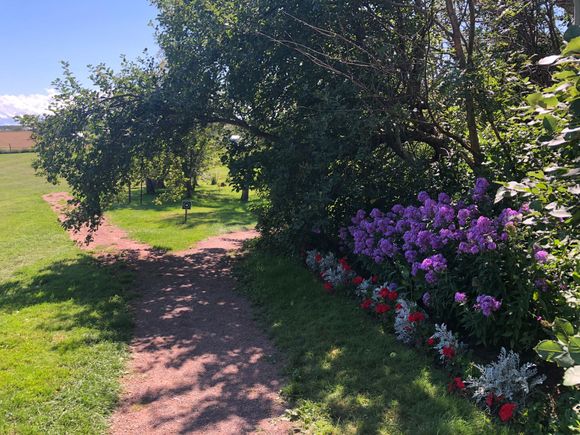Pretty pathways around the homestead site