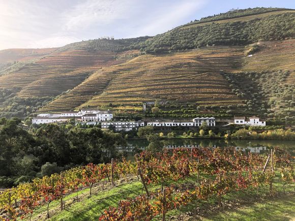 A view of Quinta das Carvalhas from Quinta da Roêda