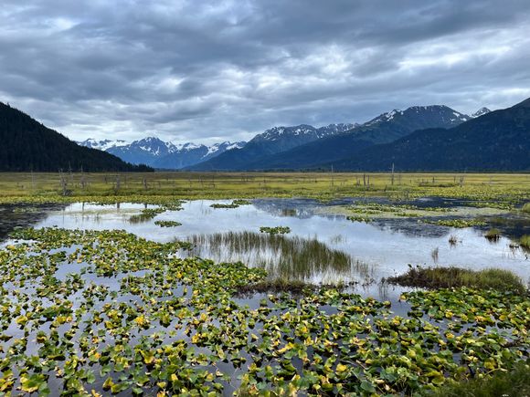 View from the train towards Whittier