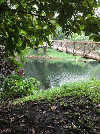 A scene in the forest section of the park.