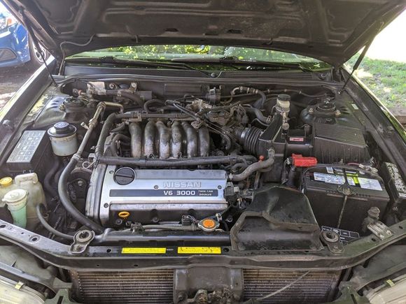 96 Maximas with a V6 can match a 96 Mustang GT with 5.0 L  from 0 to 60.