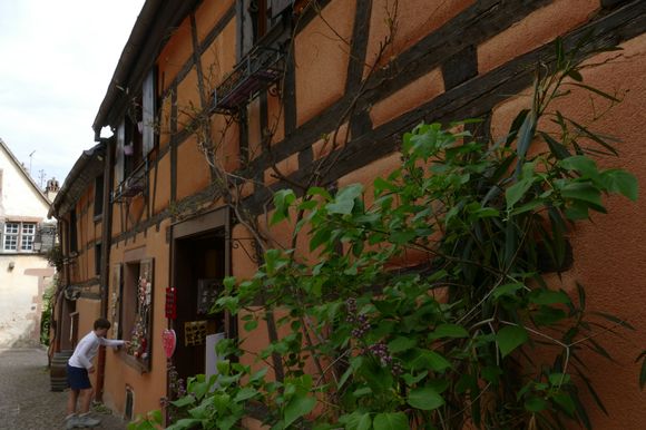 Riquewihr 