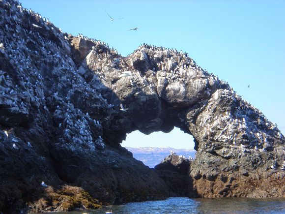 Gull Islands