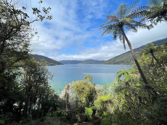 One of many views along the way. The scenery is different than Abel Tasman due to being in the sounds rather than on the ocean coast.
