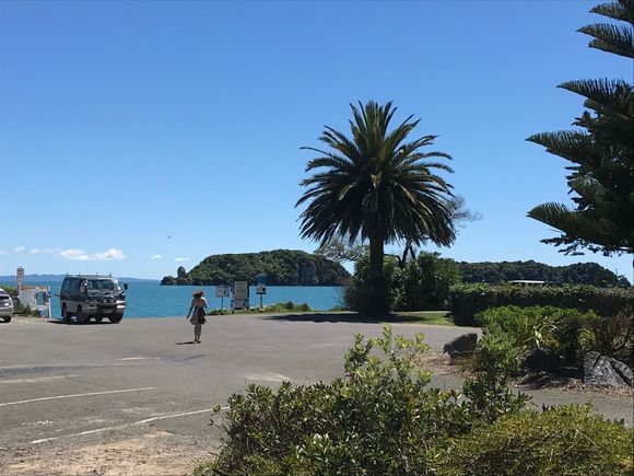 Love the Palm Tata Beach