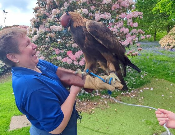 I would never thought I could come this close to such a magnificent bird