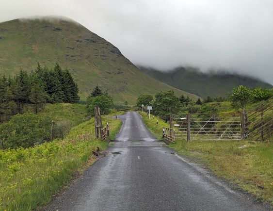 Cattle guards in the road