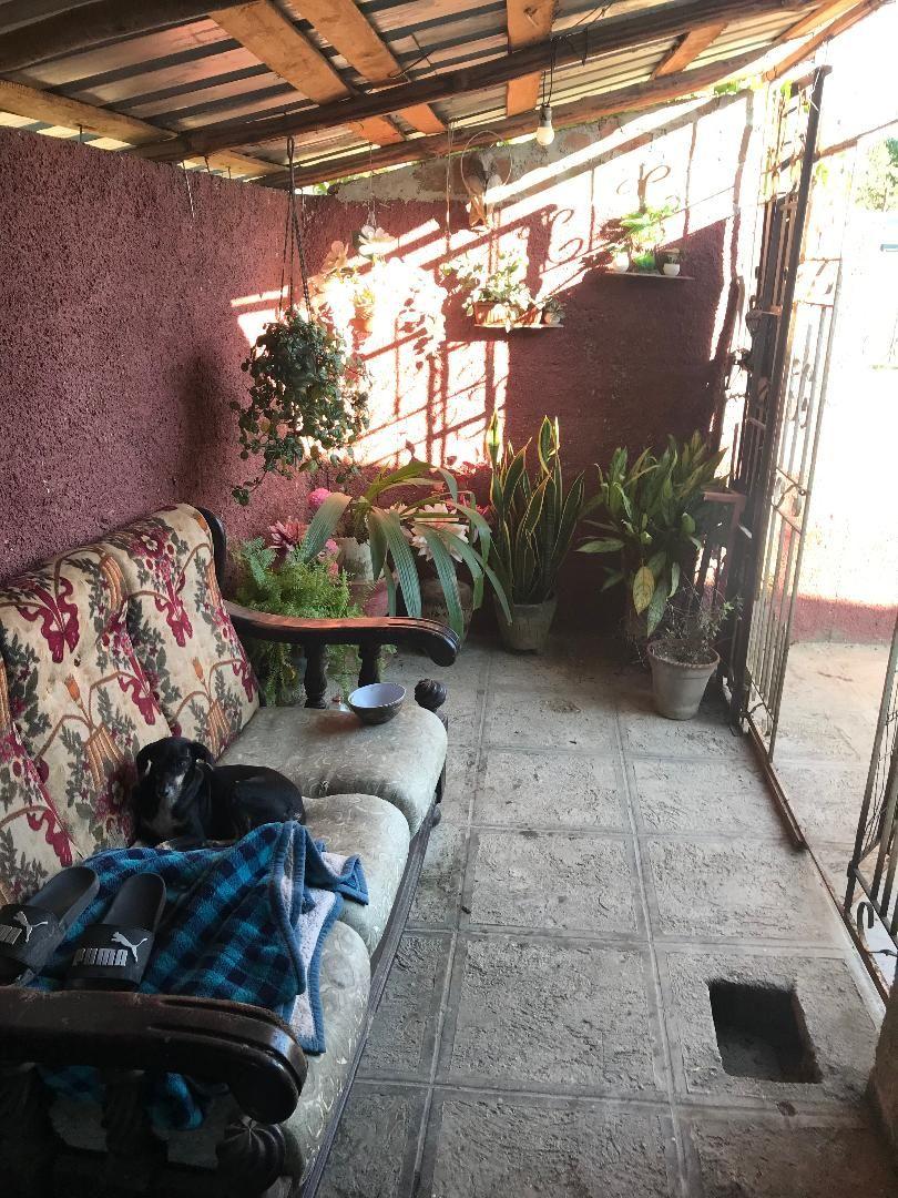 A couch for the dogs to sleep on and a garden of various potted plants within that same now covered side passageway.