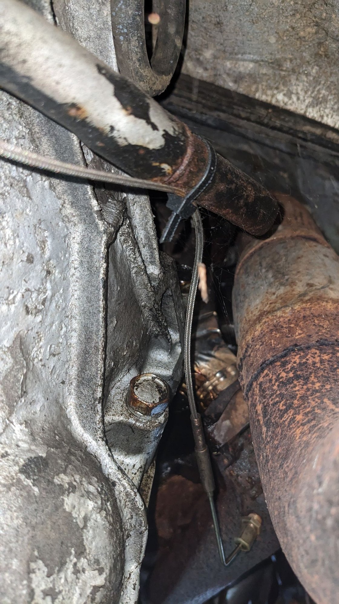 Major oil leak...what's the diagnosis? Ford Truck Enthusiasts Forums
